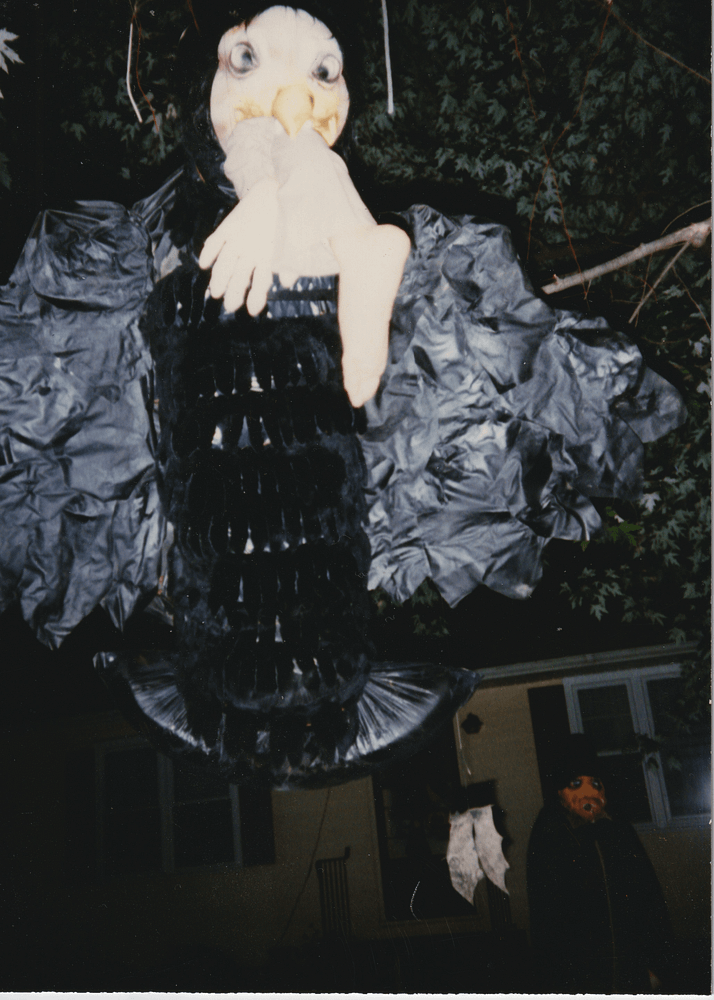 Sylvia Taylor Yard Display - Monster Bird